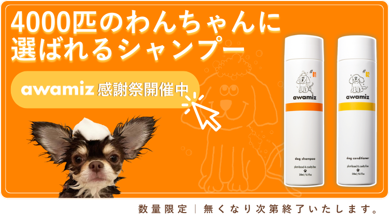 awamiz感謝祭キャンペーン
